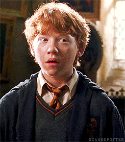 scaredpotter:  You both realize, of course, that in the past few hours you have broken