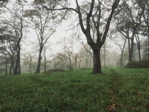 // shedding cynicism || 4:3 // by Tyler Forest-Hauser