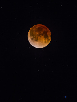 moonipulations:  The Blood Moon - Photography