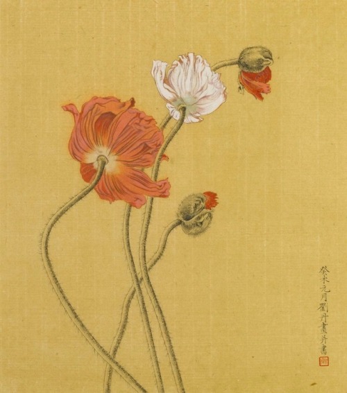 Liu Dan, poppies