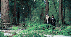 piratessavior-deactivated201502:  cs hiatus meme: Locations [6/7] -> Forests 