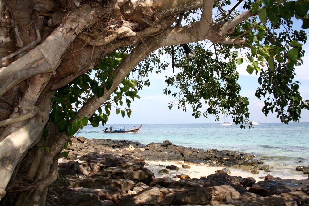 tropicri:  Click here for summer