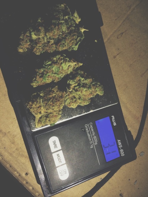 yungsucio:  Smoke time with my closet friends.