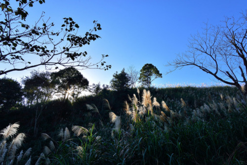 90377:   Mountain landscape in the Hsinchu,Taiwan. porn pictures