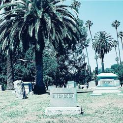 bdrury01:  Taken at the Hollywood Forever Cemetery  ( true name) Alfred Hitchcock’s grave stone …. 🐤🐦🐧🐦🐤🐦🐧🐧   (at Hollywood Forever Cemetery) 
