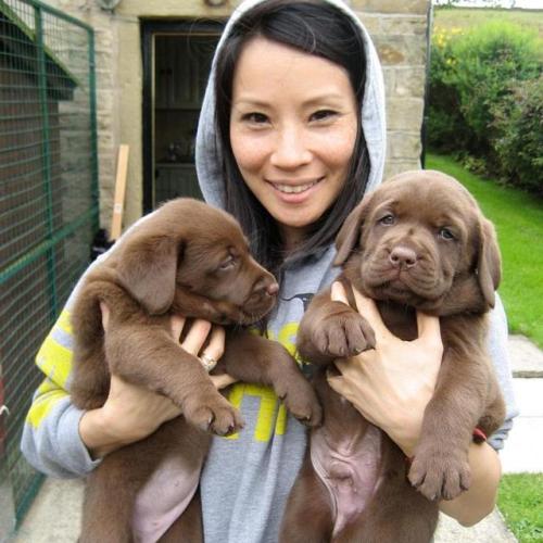 elementarystan: @LucyLiu  Show me +@Gilt your cute pet Insta’s for a chance to win items 