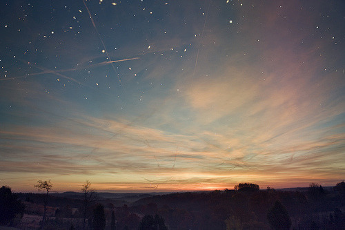 brutalgeneration:  Tumblr on We Heart It. http://weheartit.com/entry/9379737