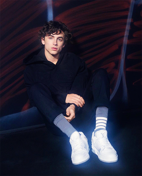 timothée chalamet louis