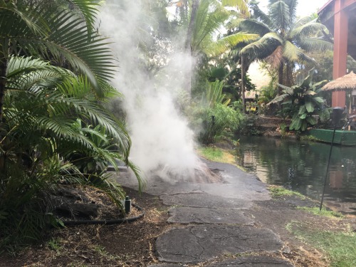 #foodtripping road trip memories: Throw-net fishing, oystering, and attending a Luau in Oahu, Hawaii