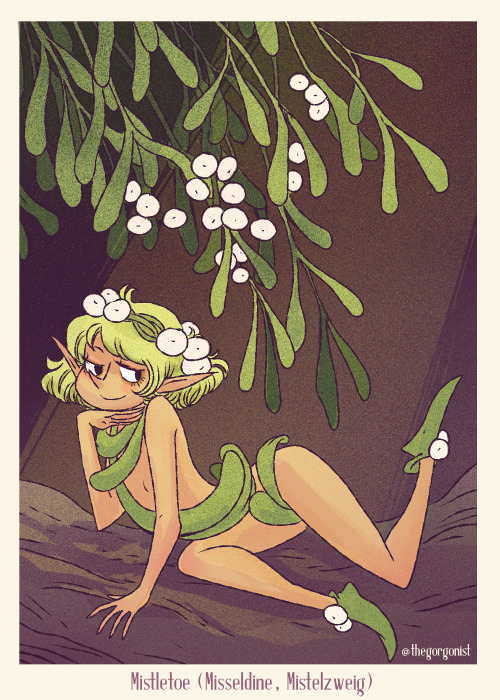 Two days of poisonous flower fairies! 16 was Mistletoe, 17 the plant I’ve always known as Dead