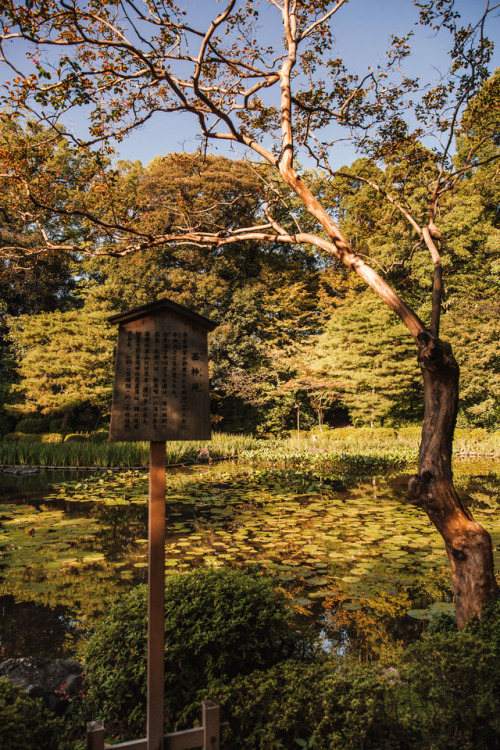 Tuesday 3rd October 2017. 16:00 Kyoto Japan.Heian-jingu Shrine’s gardens will always be one of