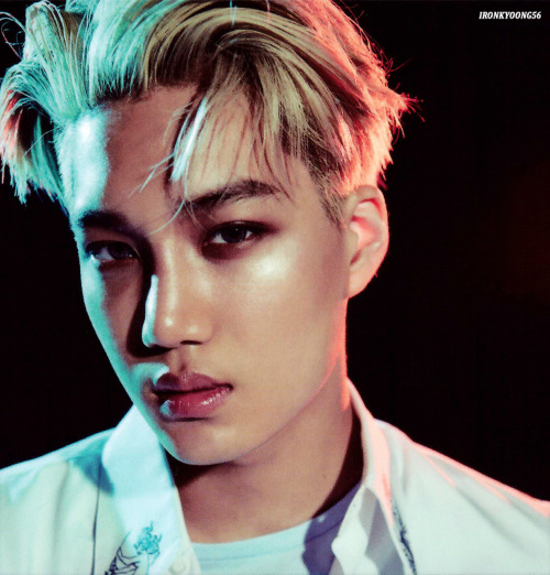 fy-exo:ironkyoong
