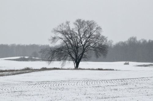 Porn highways-are-liminal-spaces:Driving east photos