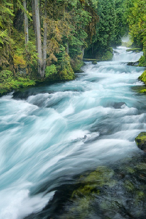 ponderation:  McKenzie Muscle by Michael Ryan  