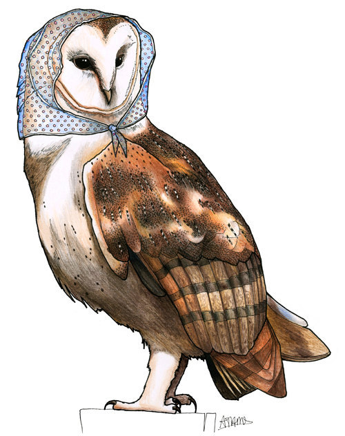 agentleavens:  glitterbutch:  sosuperawesome:  birdsinhats  I am very seriously considering