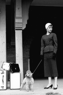 vintagegal:  Audrey Hepburn during the filming