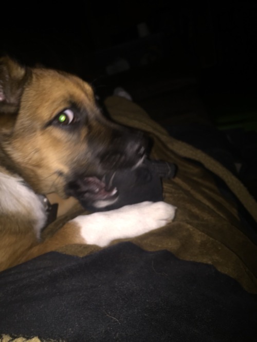 Watching Star Wars the force awakens with Freya and she’s chewing on her darth Vader toy, a decent night