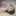 locksszinhas:like or reblog