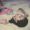 locksszinhas:like or reblog