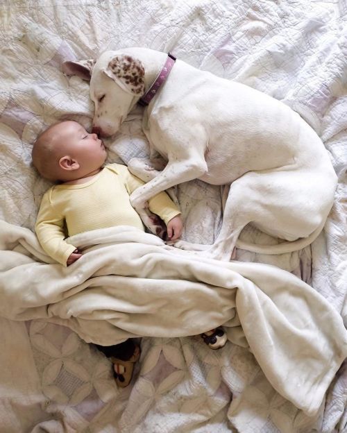 WARNING: CUTENESS OVERLOAD!Nora the rescue puppy loves napping with her baby brother ❤️