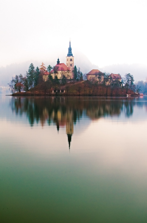 4nimalparty:  Mist Unveiled. (by Anja Horvat)