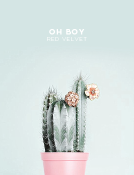 r-velvets: THE RED (insp) 