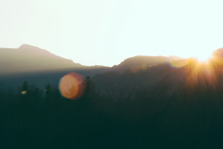 earthflowur:  nathanfarberphotography:  Lens Flare's in the Mountains  nature