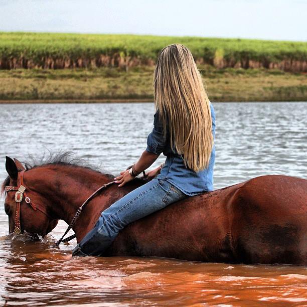 Rodeio Brazil Country Matérias on Tumblr