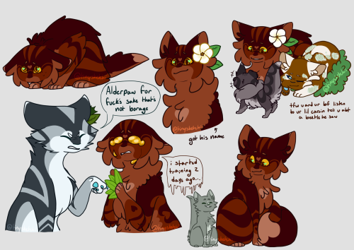 tinysketchii:my brain said today i will think abt alderheart in avosalso i think jayfeather should s