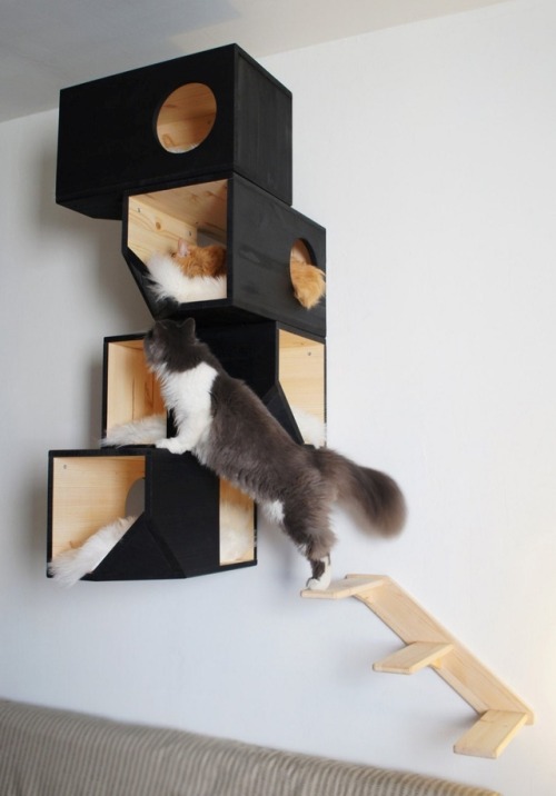 sosuperawesome:Cat HousesCatissa Cat Trees on EtsySee our #Etsy or #Pets tags 