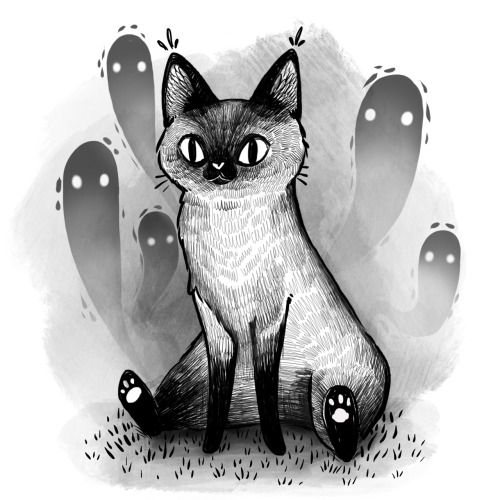 cynderbat