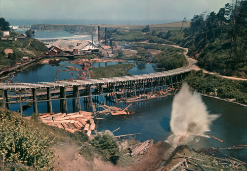A redwood log splashes into the water near a mill in Caspar, California, Feburary 1939.Photograph by