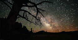 Thestarsareourancestors:   [X]  