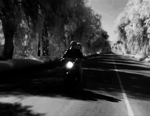 habermannandsons:  Marlon Brando and Mary Murphy in ‘The Wild One’, 1953