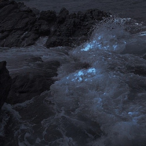 I Love Being A Siren 
