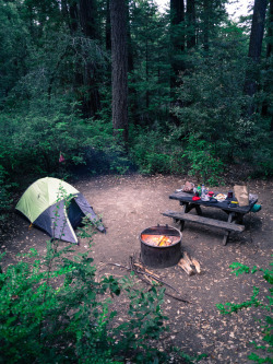 wakingupinnature:  Love Camping? Follow wakingupinnature!