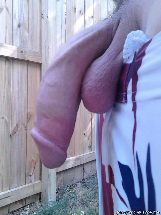 allcockcloseup:  http://allcockcloseup.tumblr.com/