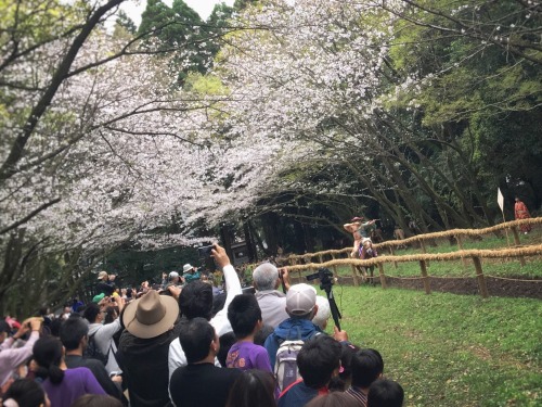 Ogasawara ryu bow men &amp; Sakura . Ogasawara ryu is a very old martial arts school in Japan fo