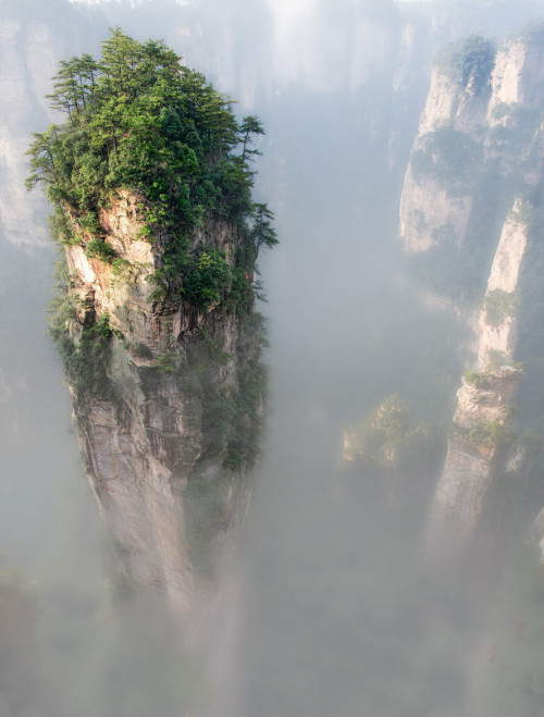woodendreams:(by Anton Baklashov)   (China)