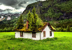 lori-rocks:  Bye Bye Norway, Country of Fairy