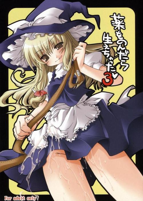 YourFutanariDescription: kirisame marisa (touhou)Artist: aomi riruSource