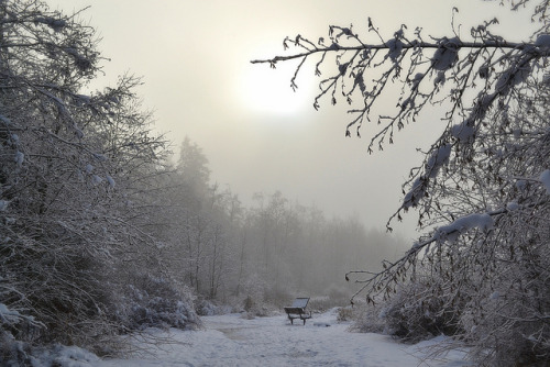 Surrey Lake Park by careth@2012 on Flickr.