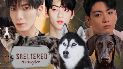 Just Updated! Sheltered - BTS/TXT Fanfic