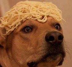 super-who-locked-in:  xx-caulfield:  this-tragic-affair:  rnikedirnt:  being against