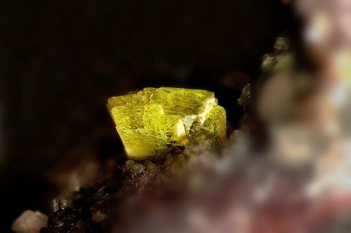 ifuckingloveminerals:  Epidote St. Louis Mine Exploration, Laurium, Houghton Co., Michigan, USA