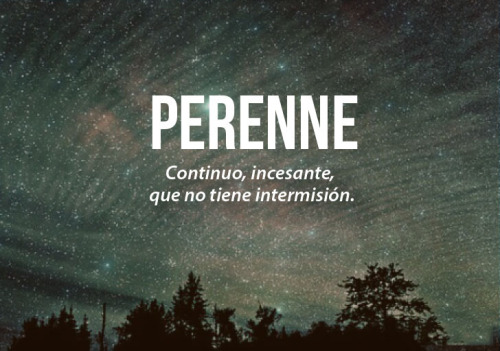 somospandaspordentroyporfuera:  Palabras bonitas en nuestro hermoso idioma español *-* ½ -Una chica invisible.  