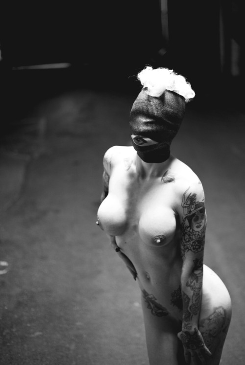 alt-amores:  The ravishing Alabama Deer x CleanMoralPolite Photography