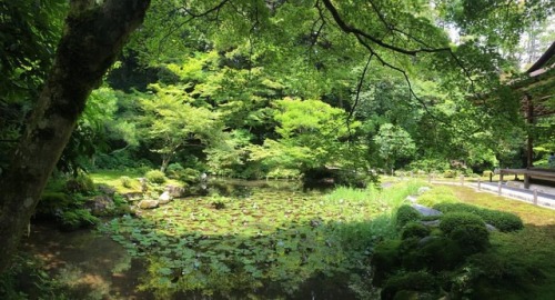 Rincones de Kyoto llenos de tranquilidad y belleza.  #Japoneando (at Higashiyama-ku, Kyoto)