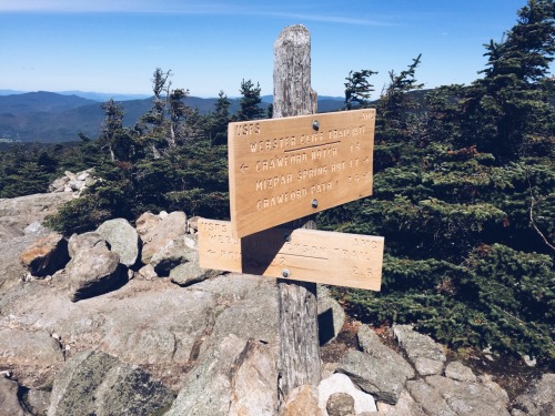 livefreeortour:Mount Jackson / Mount Webster