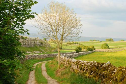 The lane at Great Asby Scar, Cumbria, England. Photo by Nicola Didsbury.No wonder they could hardly 